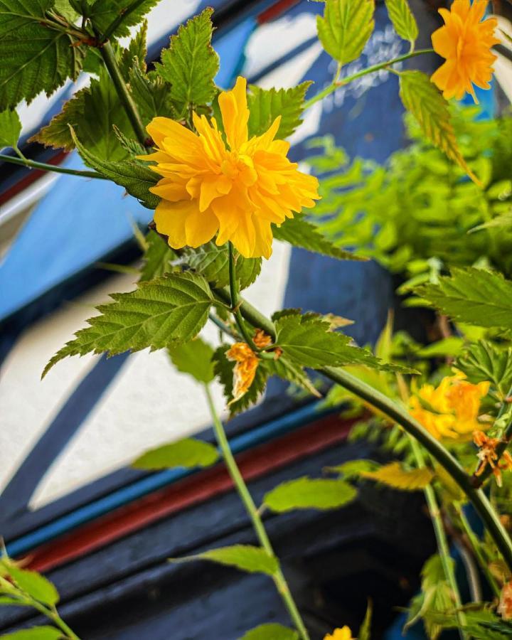 Hexenhaeuschen Dreieichenhain エクステリア 写真