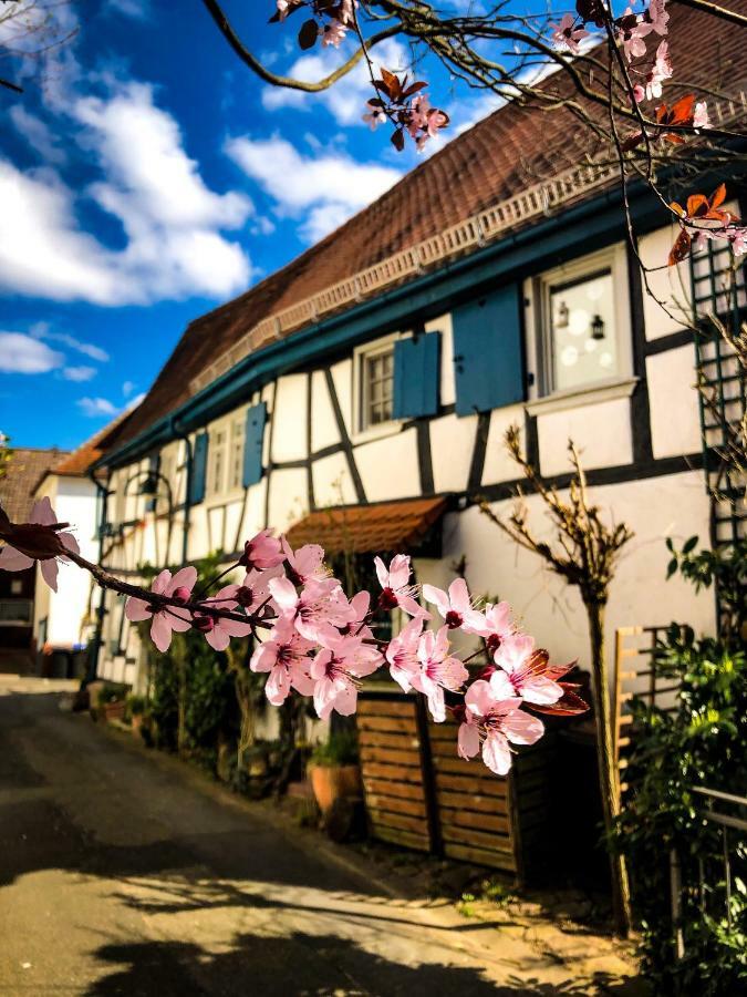 Hexenhaeuschen Dreieichenhain エクステリア 写真