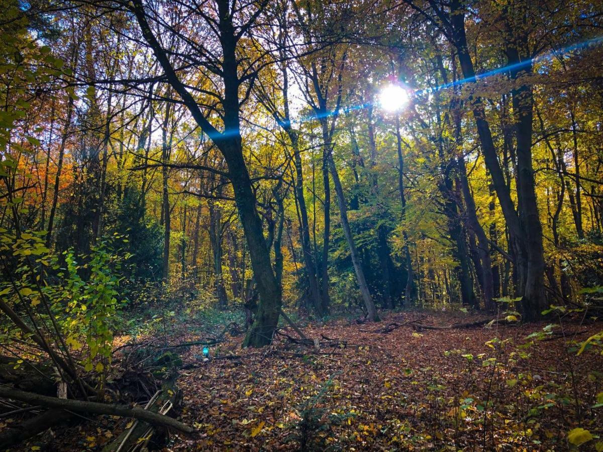 Hexenhaeuschen Dreieichenhain エクステリア 写真